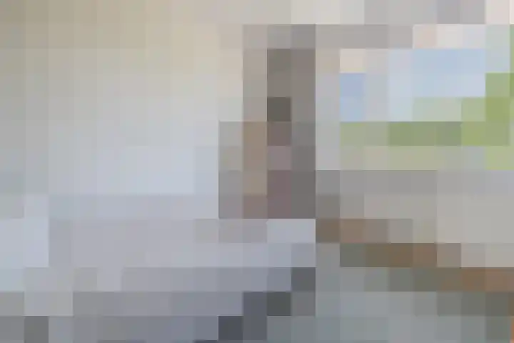 Noordkil 54 Papendrecht thumbnail 33