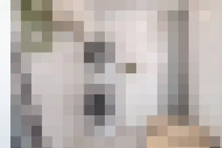 Noordkil 54 Papendrecht thumbnail 38