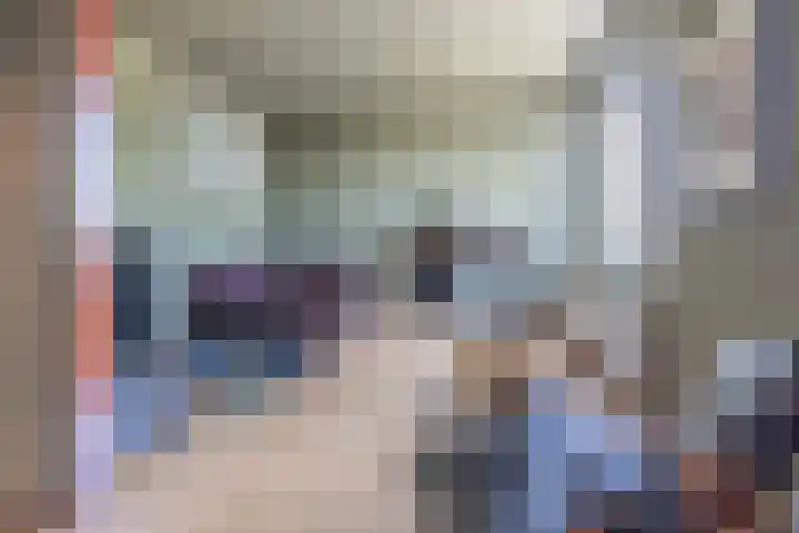 Noordkil 54 Papendrecht thumbnail 41