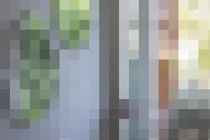 Noordkil 54 Papendrecht thumbnail 52