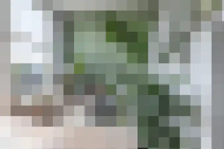 Noordkil 54 Papendrecht thumbnail 8