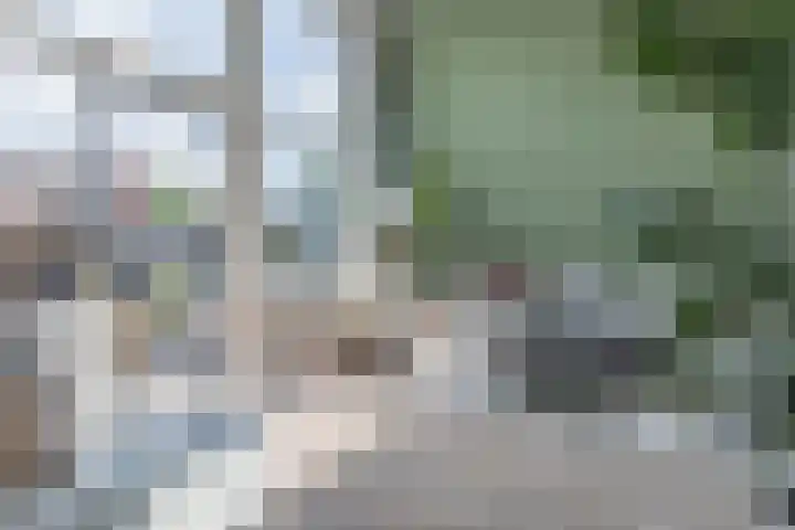Noordkil 54 Papendrecht thumbnail 9