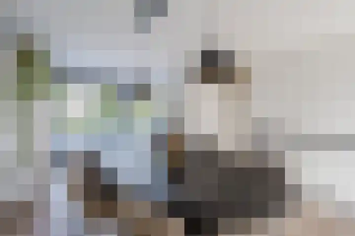Noordkil 78 Papendrecht thumbnail 11