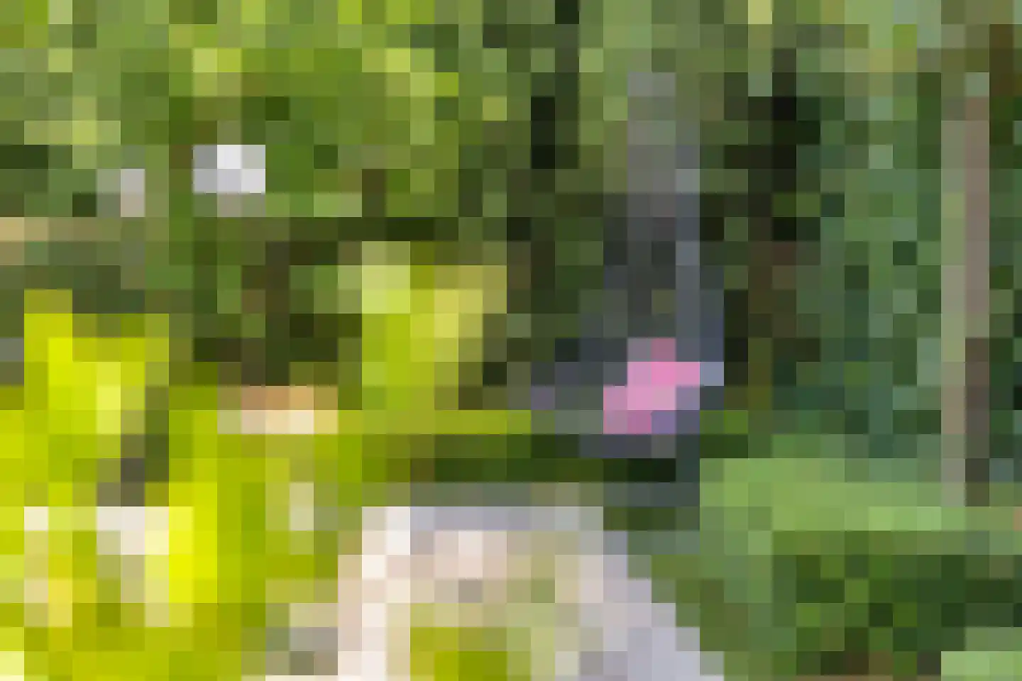 Noordkriek 11 Arnhem thumbnail 21