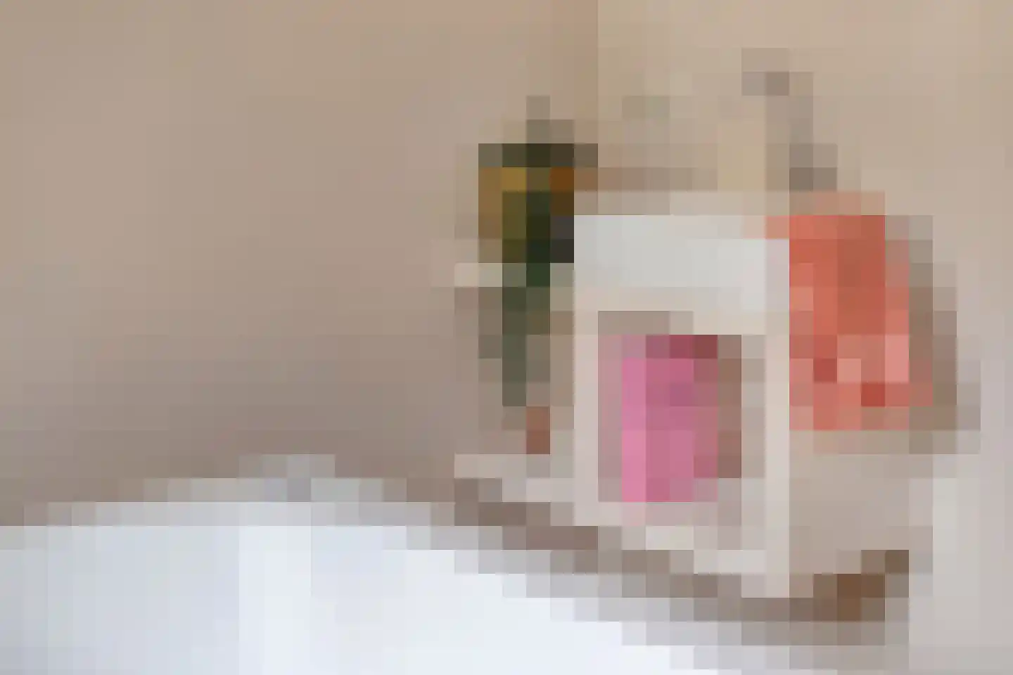 Noordkriek 11 Arnhem thumbnail 35