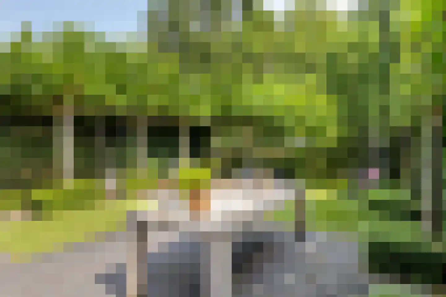 Noordkriek 11 Arnhem thumbnail 44