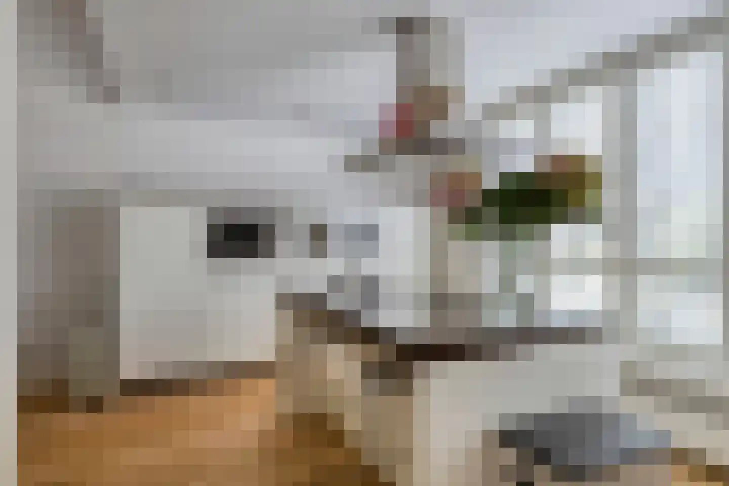 Noordkriek 11 Arnhem thumbnail 7