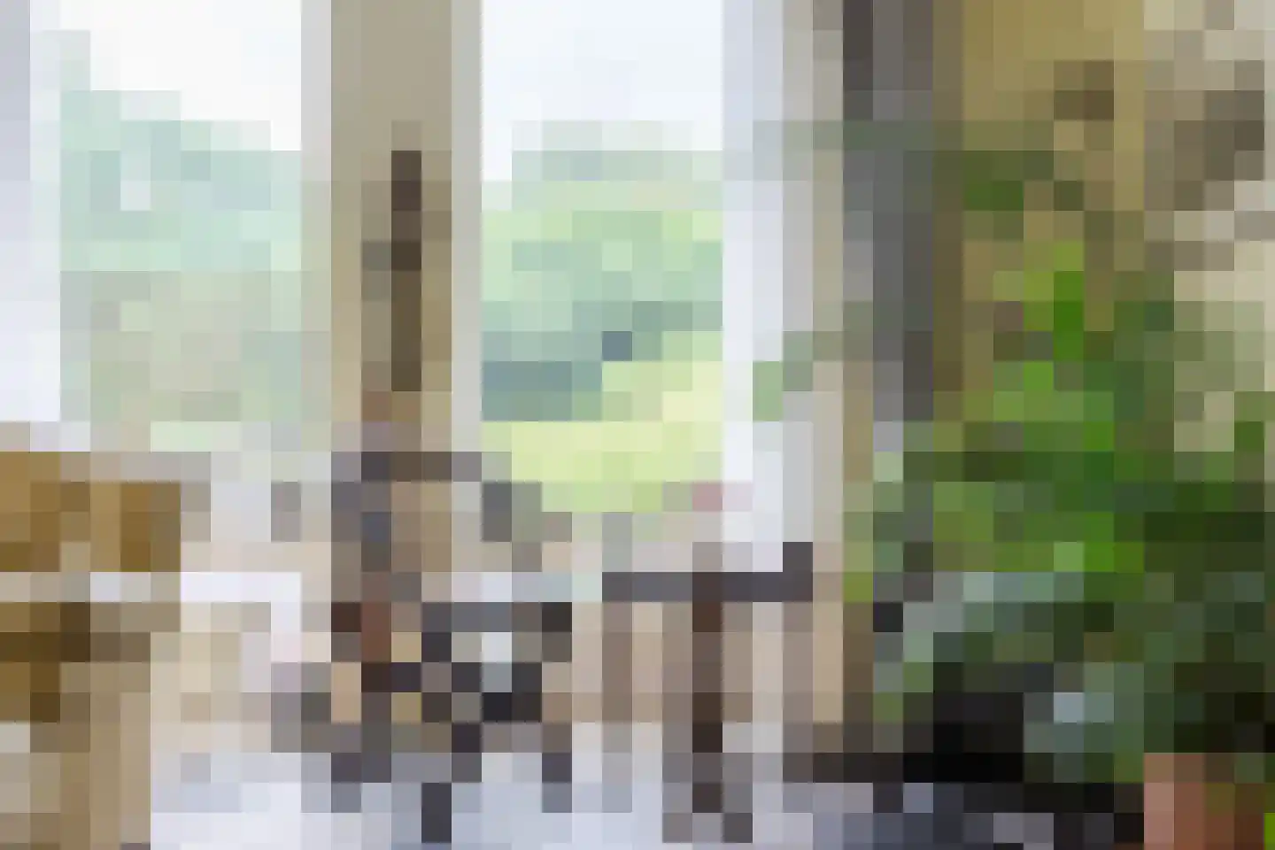Noordlaan 1 Bergen (NH) thumbnail 14
