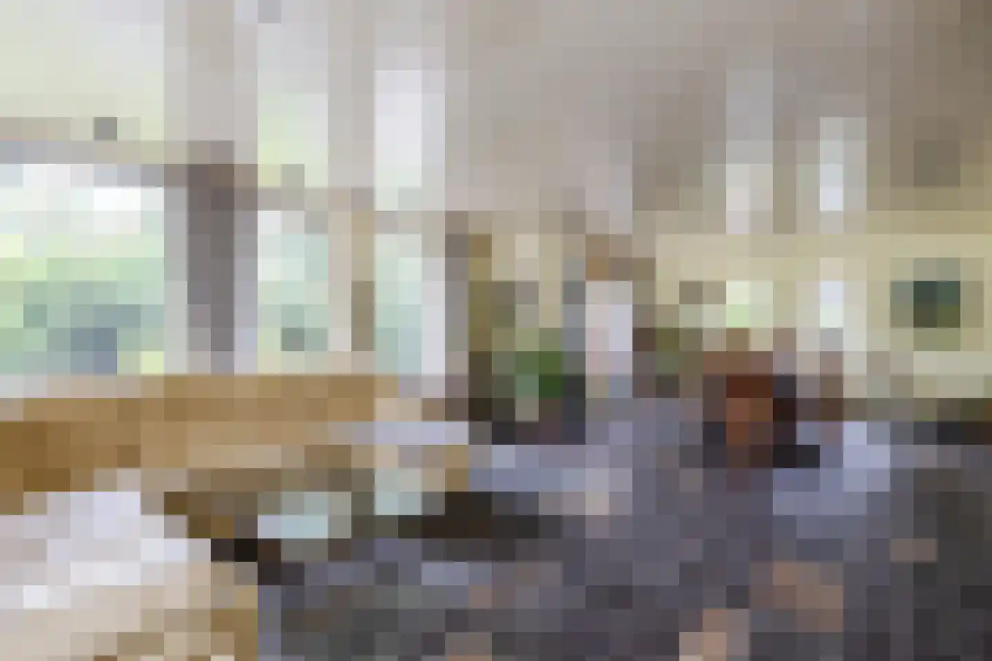 Noordlaan 1 Bergen (NH) thumbnail 15