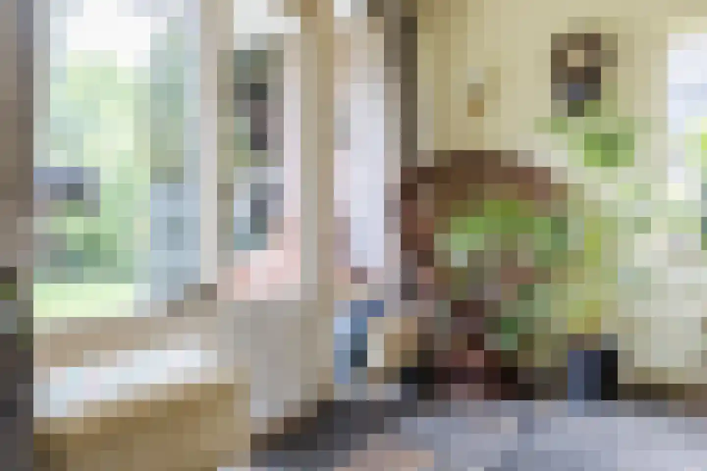 Noordlaan 1 Bergen (NH) thumbnail 16
