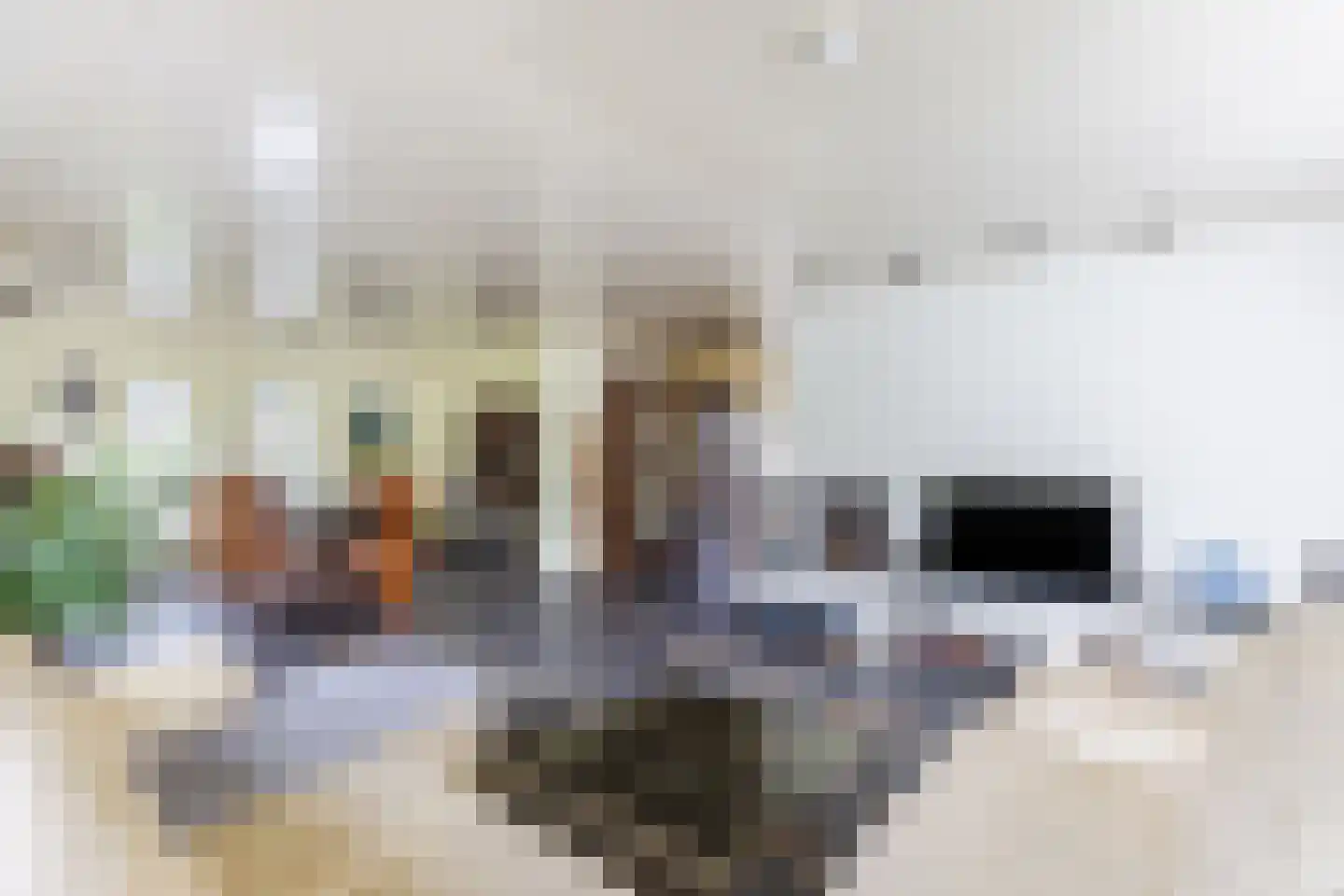 Noordlaan 1 Bergen (NH) thumbnail 17