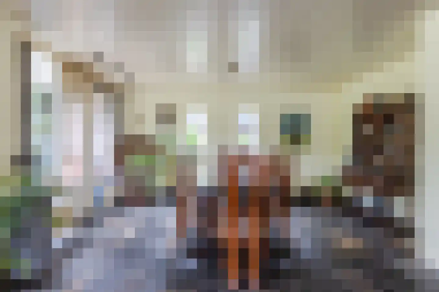 Noordlaan 1 Bergen (NH) thumbnail 18