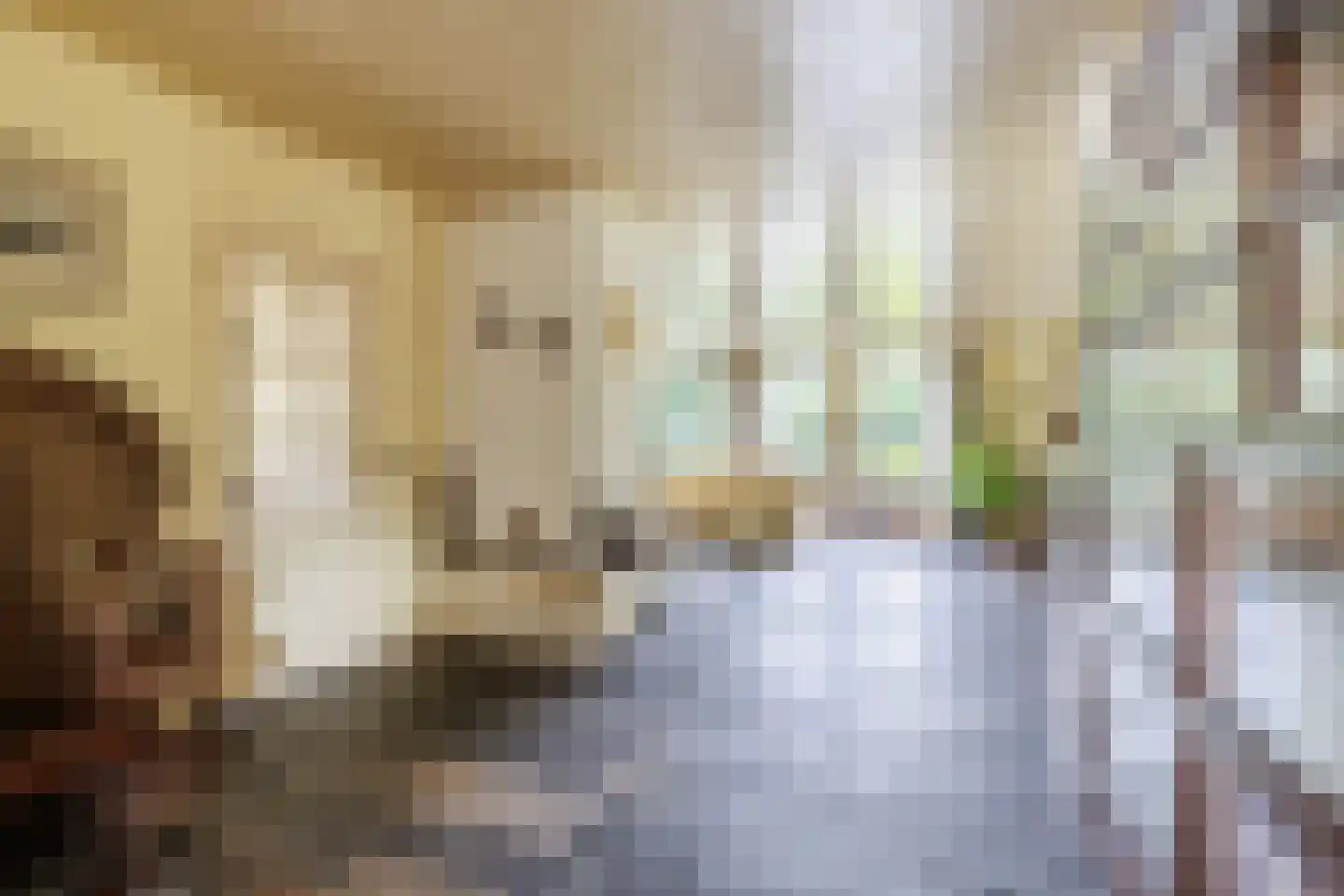 Noordlaan 1 Bergen (NH) thumbnail 22