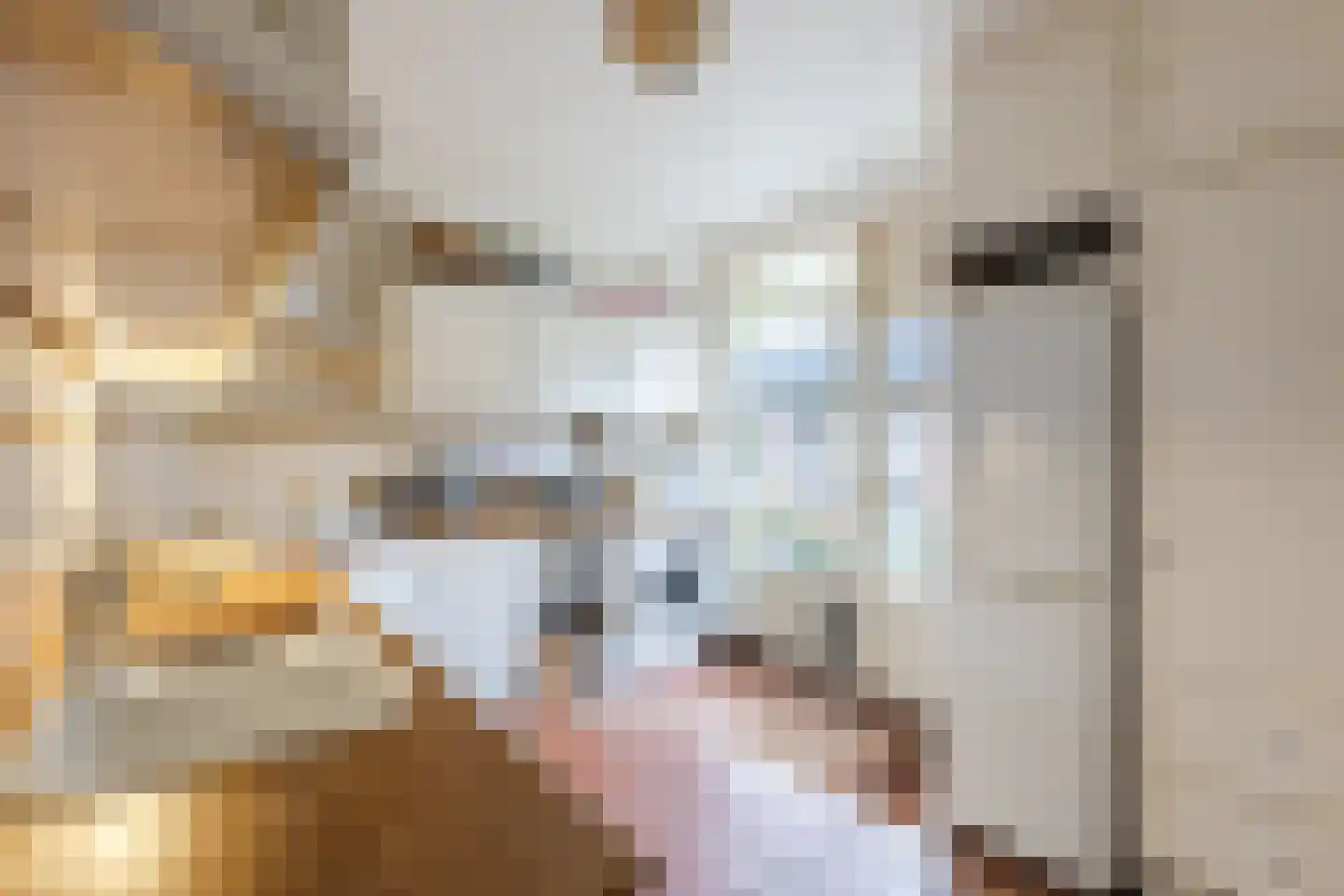 Noordlaan 1 Bergen (NH) thumbnail 23