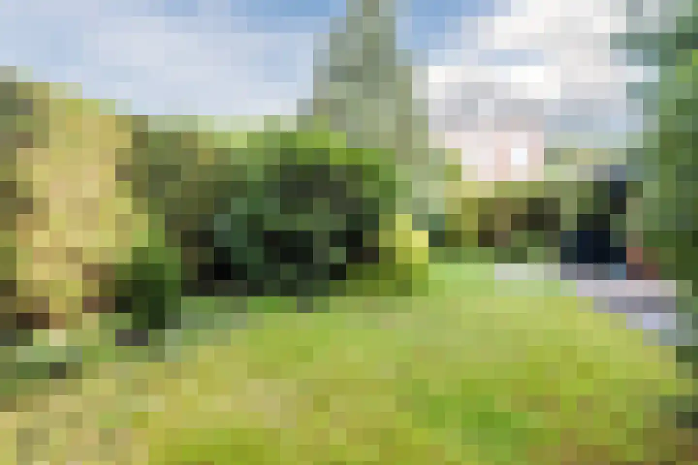 Noordlaan 1 Bergen (NH) thumbnail 42