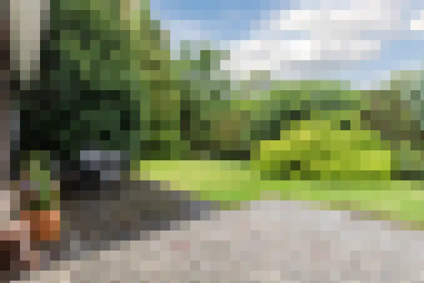 Noordlaan 1 Bergen (NH) thumbnail 44