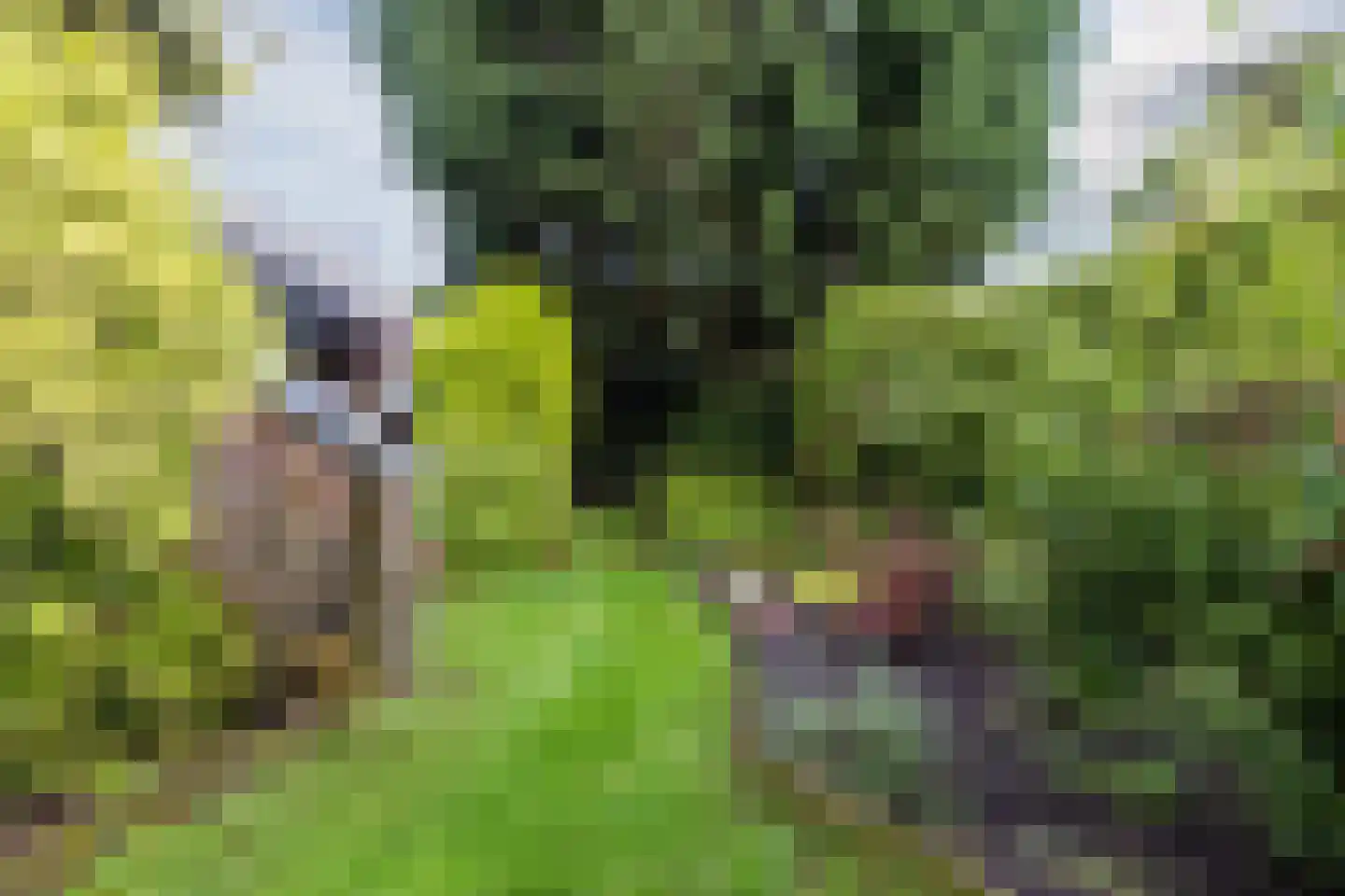 Noordlaan 1 Bergen (NH) thumbnail 53