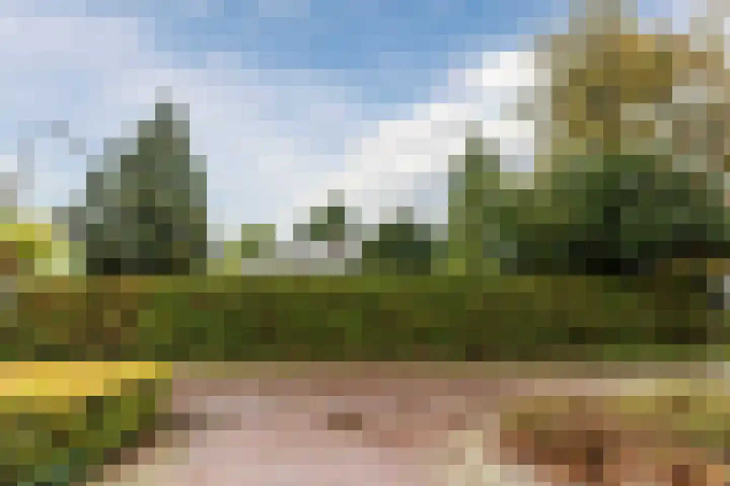 Noordlaan 1 Bergen (NH) thumbnail 60