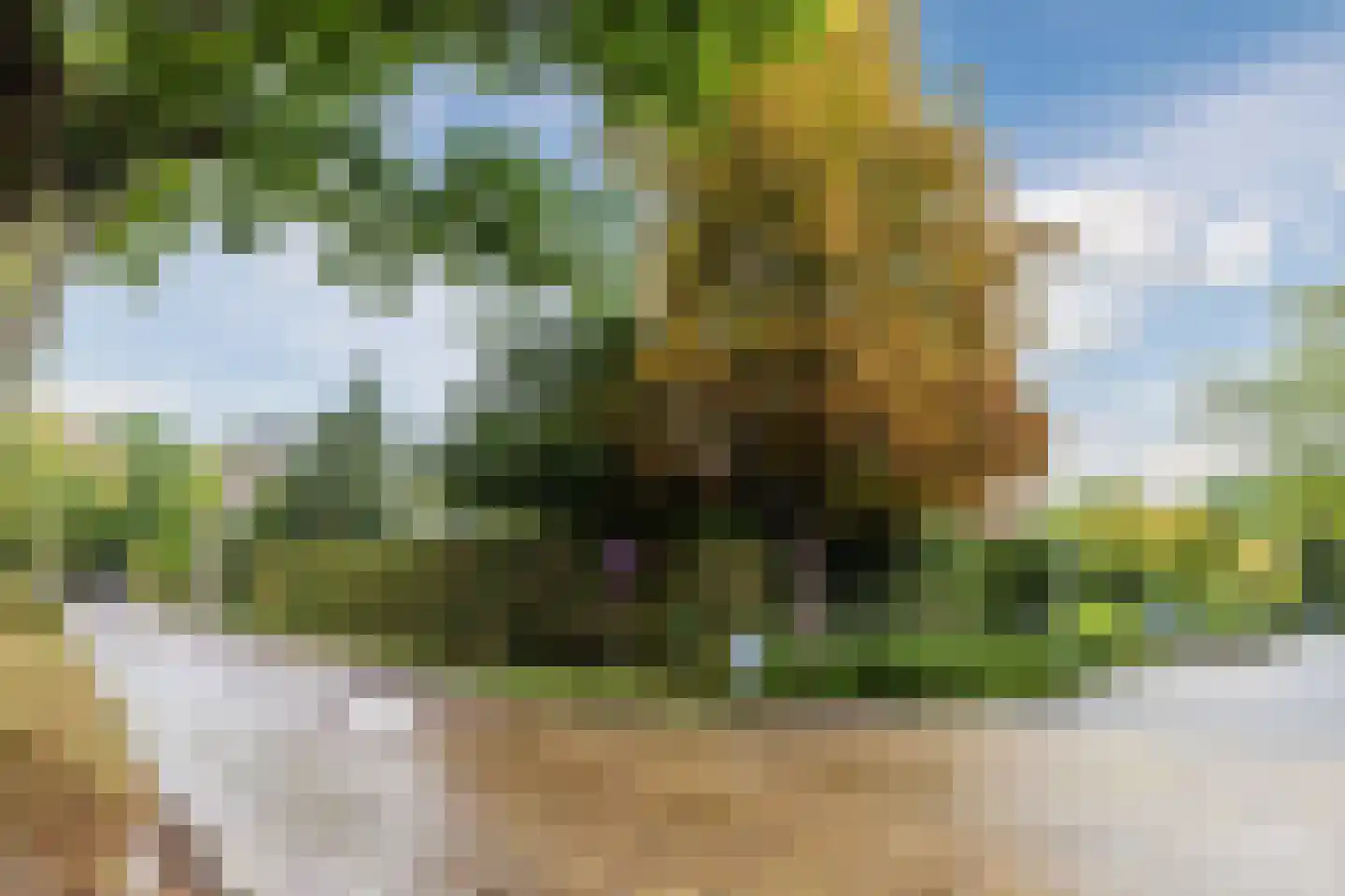 Noordlaan 1 Bergen (NH) thumbnail 61
