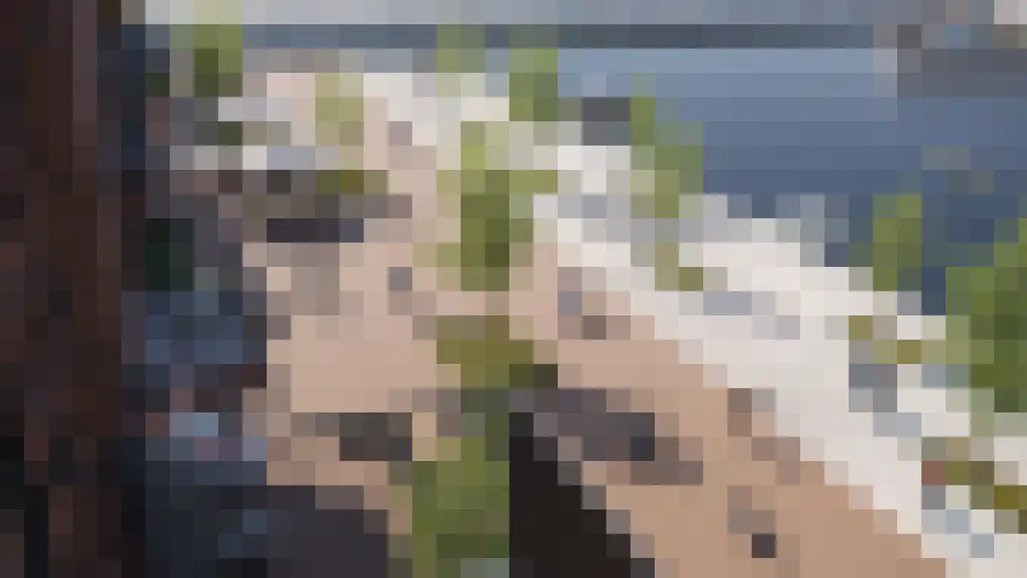 Noordlaan 20 Roosendaal thumbnail 7