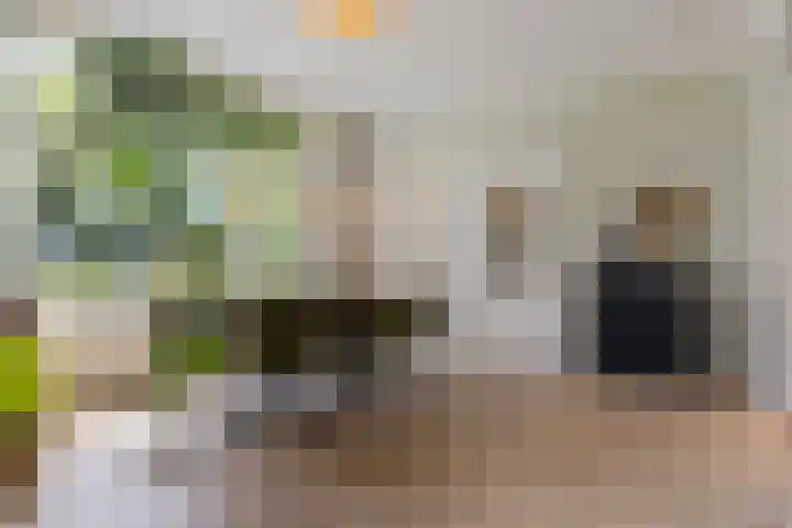 Noordlaan 21 Bergen (NH) thumbnail 12