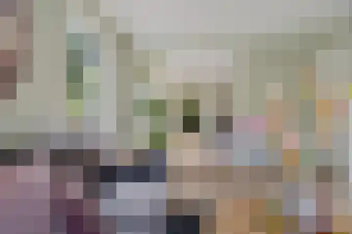 Noordlaan 21 Bergen (NH) thumbnail 13