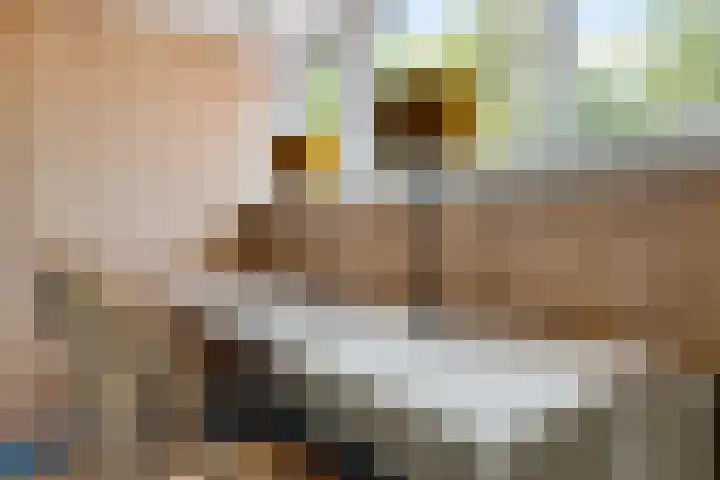 Noordlaan 21 Bergen (NH) thumbnail 31