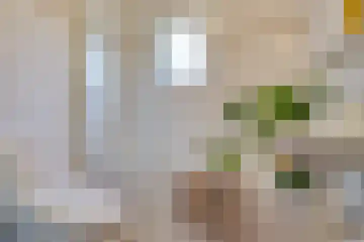 Noordlaan 21 Bergen (NH) thumbnail 32
