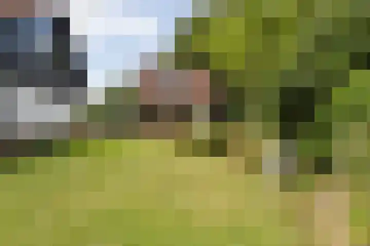 Noordlaan 21 Bergen (NH) thumbnail 33
