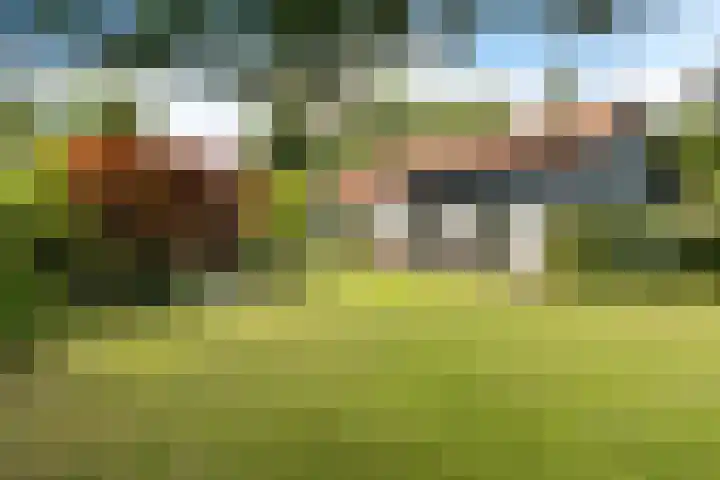 Noordlaan 21 Bergen (NH) thumbnail 50