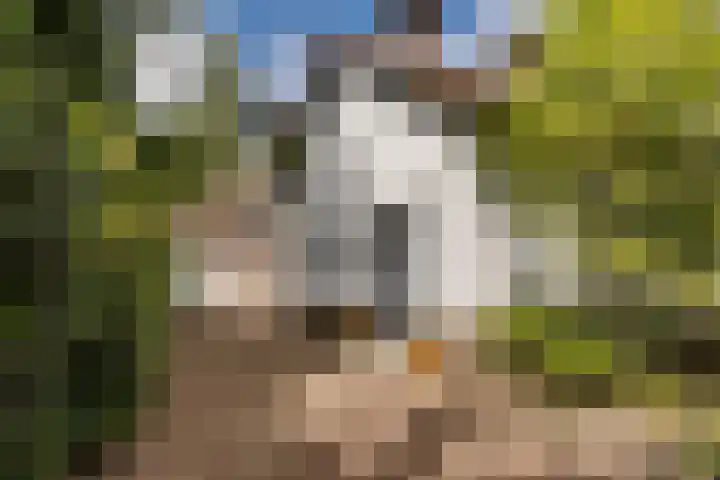 Noordlaan 21 Bergen (NH) thumbnail 6