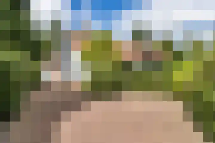 Noordlaan 21 Bergen (NH) thumbnail 7