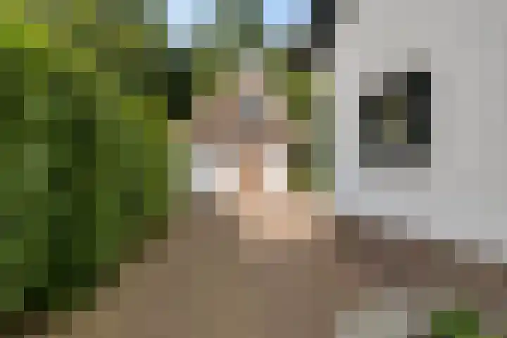 Noordlaan 21 Bergen (NH) thumbnail 8