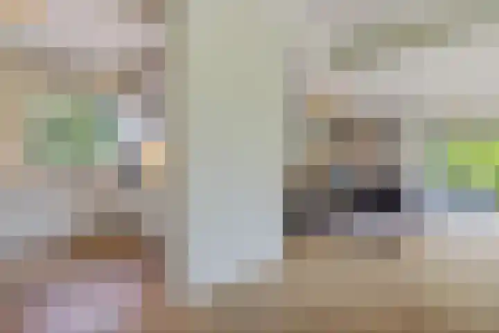 Noordlaan 21 Bergen (NH) thumbnail 9
