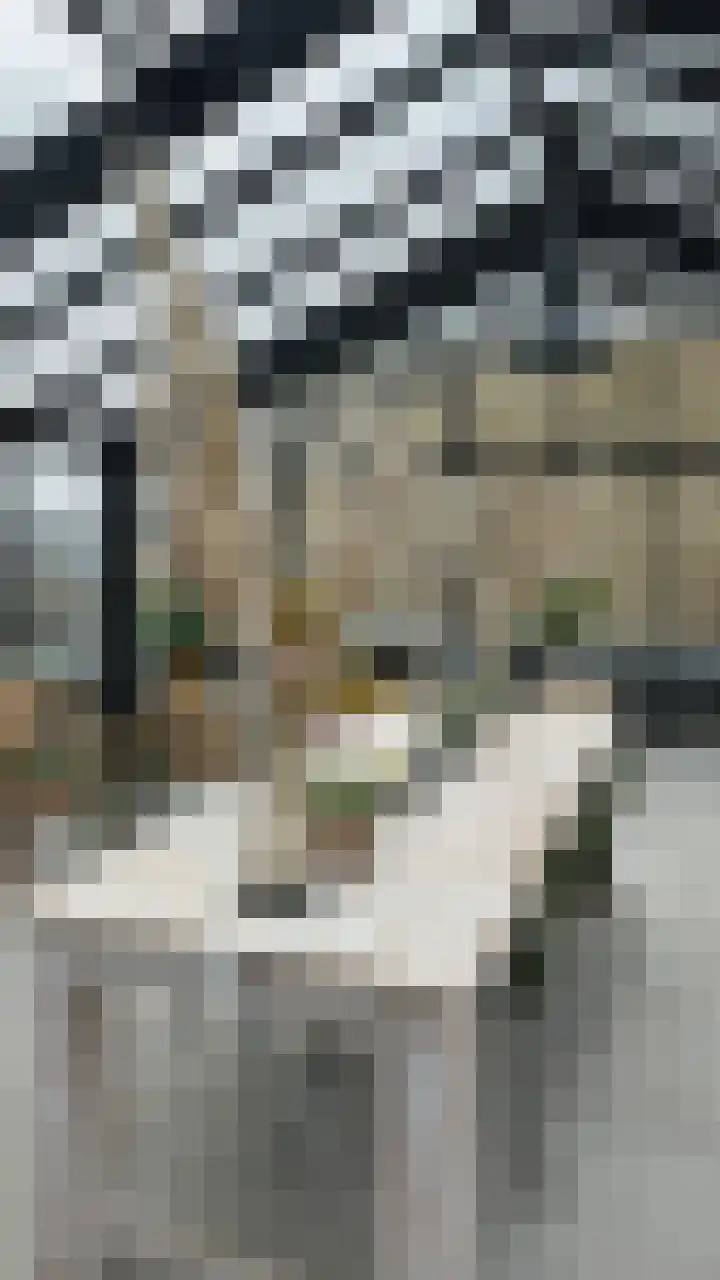 Noordlaan 21 Roosendaal thumbnail 33
