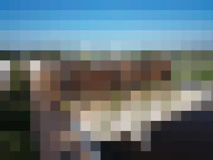 Noordlaan 4 Roosendaal thumbnail 4