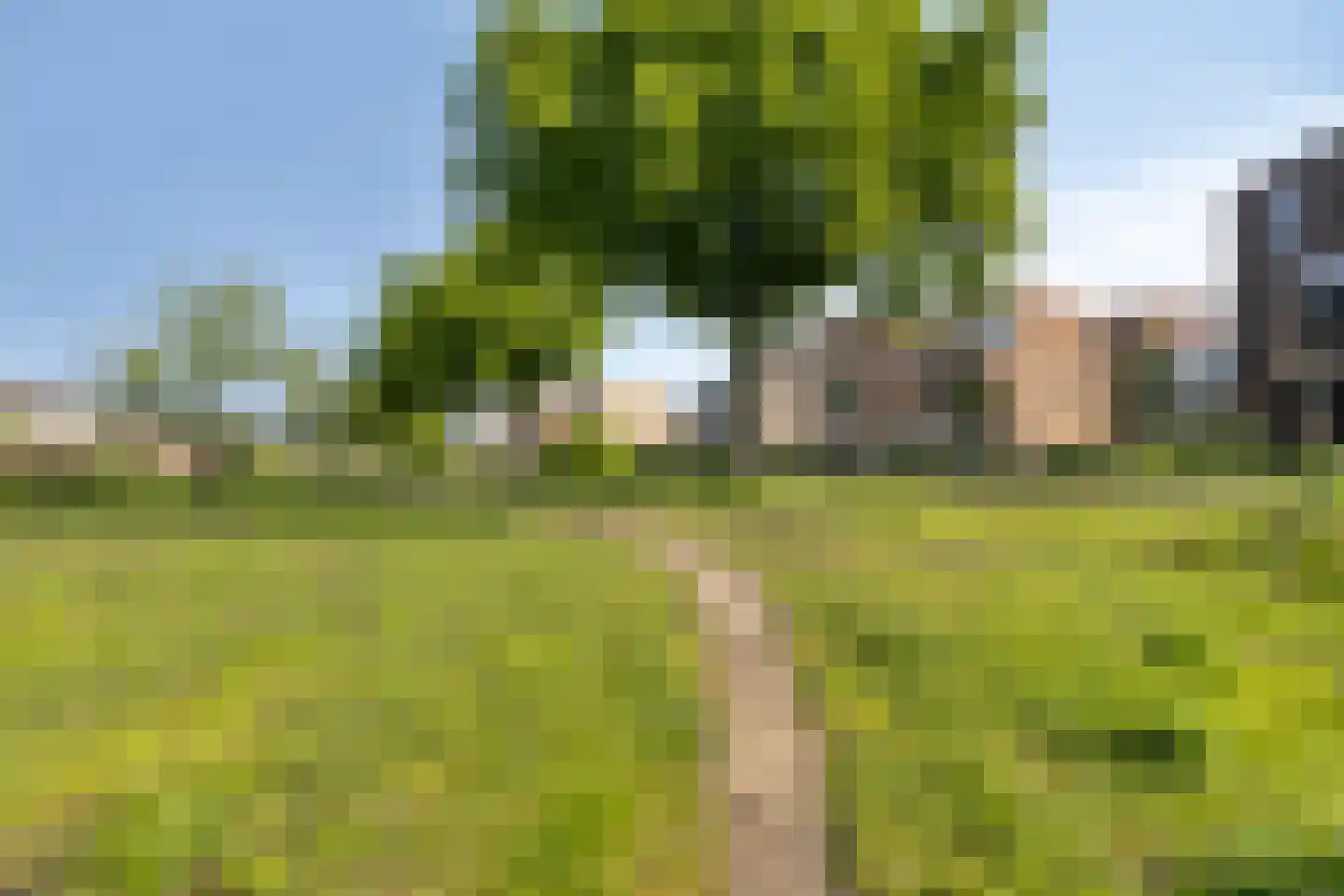 Noordlaan 41 Roosendaal thumbnail 43