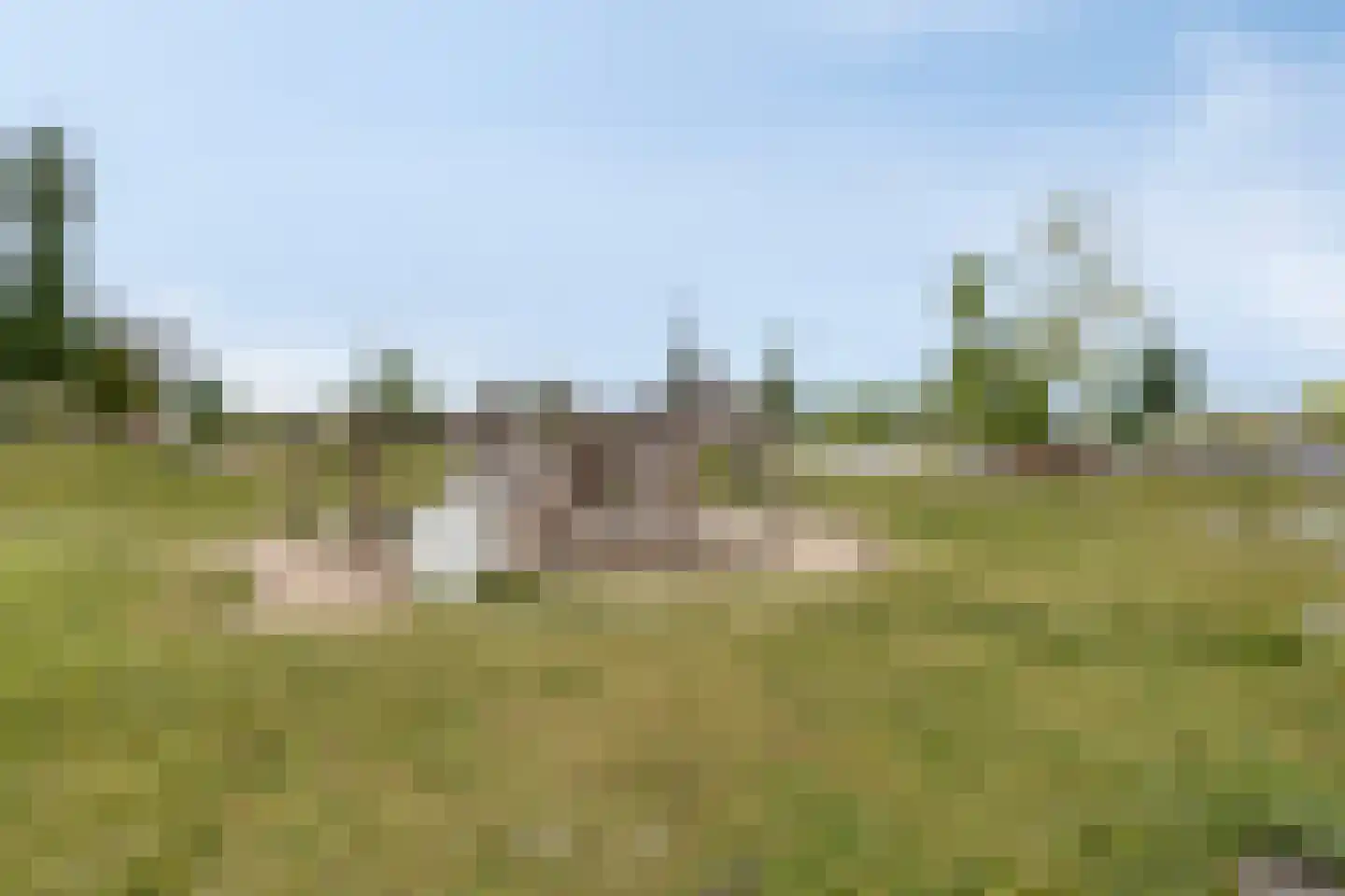 Noordlaan 41 Roosendaal thumbnail 46