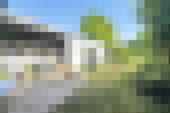 Noordlaan 50 Bergen (NH) thumbnail 10