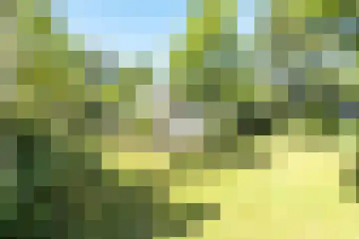 Noordlaan 50 Bergen (NH) thumbnail 12