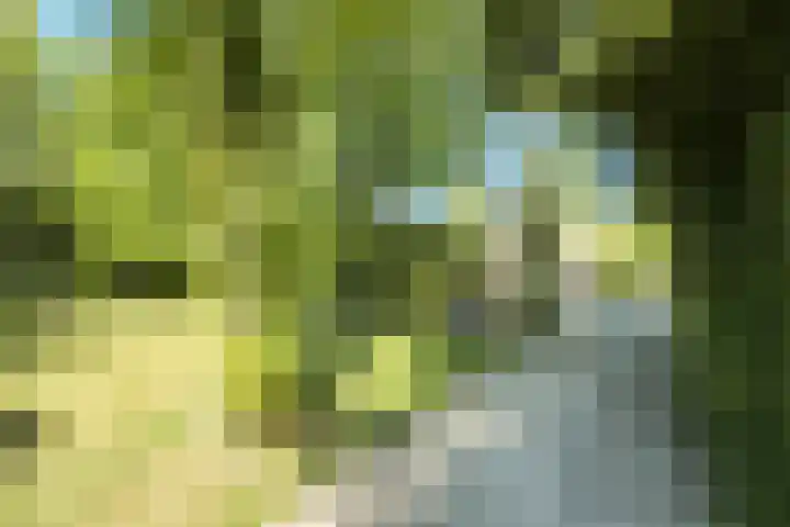 Noordlaan 50 Bergen (NH) thumbnail 4
