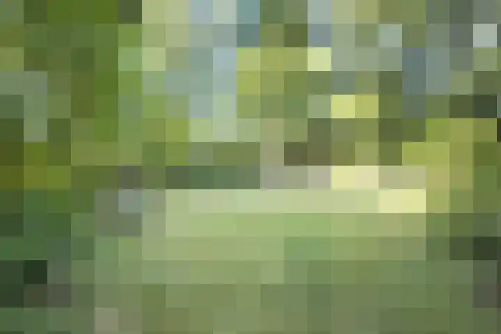 Noordlaan 50 Bergen (NH) thumbnail 5