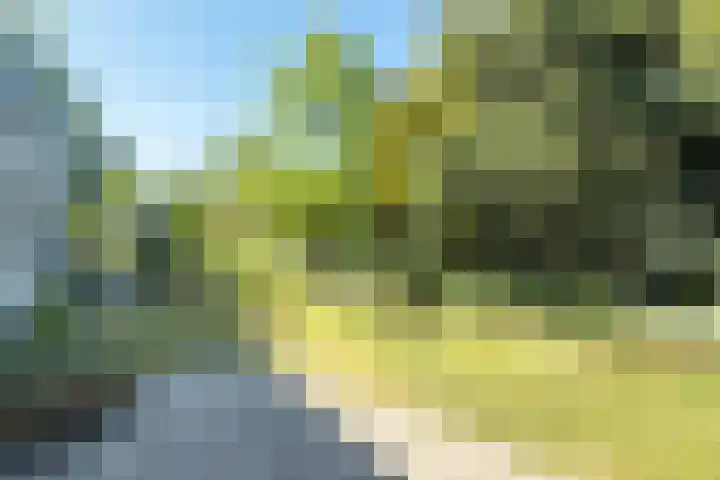 Noordlaan 50 Bergen (NH) thumbnail 6