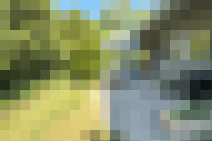 Noordlaan 50 Bergen (NH) thumbnail 7