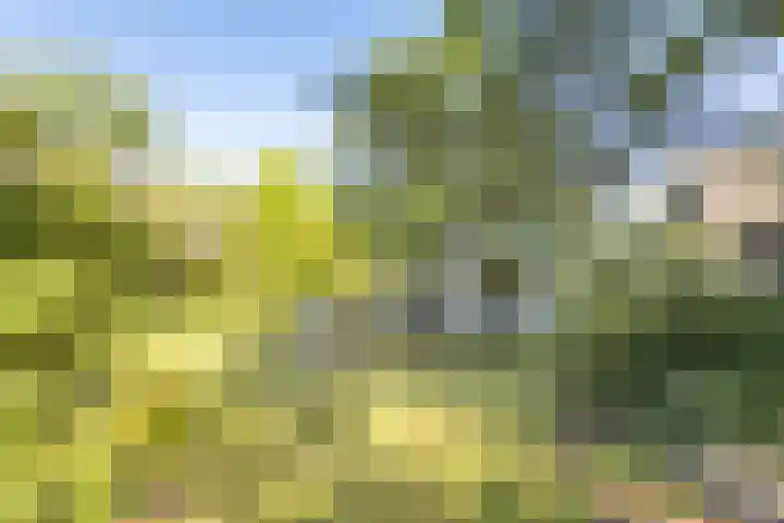 Noordlaan 50 Bergen (NH) thumbnail 8