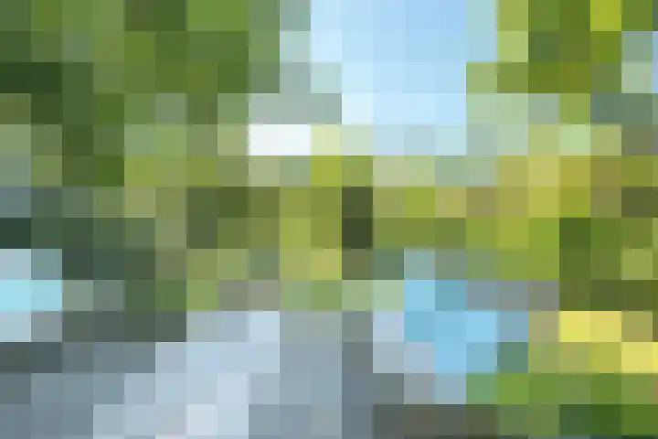Noordlaan 50 Bergen (NH) thumbnail 9