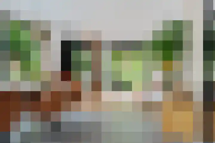 Noordlaan 52 Bergen (NH) thumbnail 10