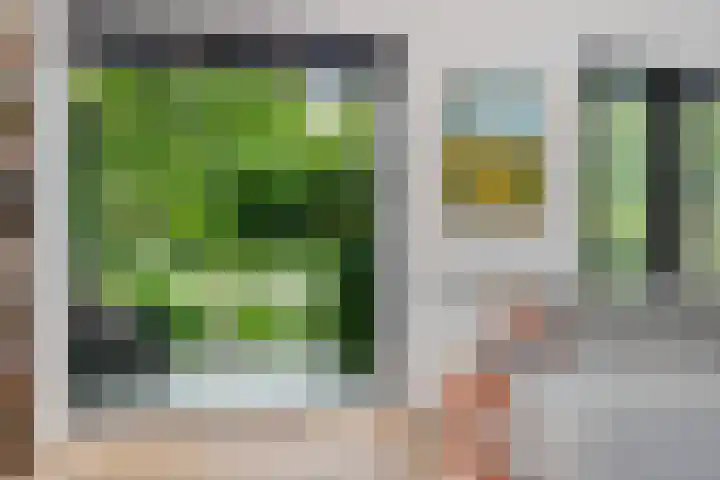 Noordlaan 52 Bergen (NH) thumbnail 11