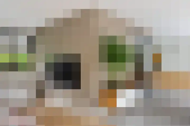 Noordlaan 52 Bergen (NH) thumbnail 15
