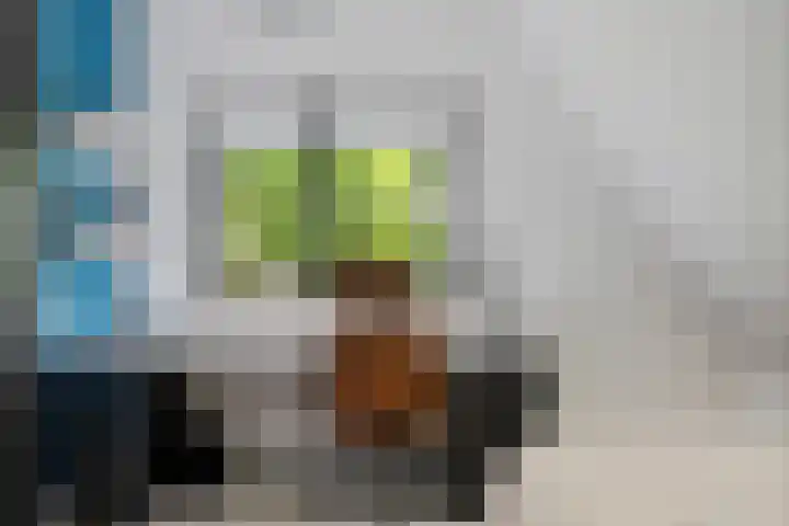 Noordlaan 52 Bergen (NH) thumbnail 32